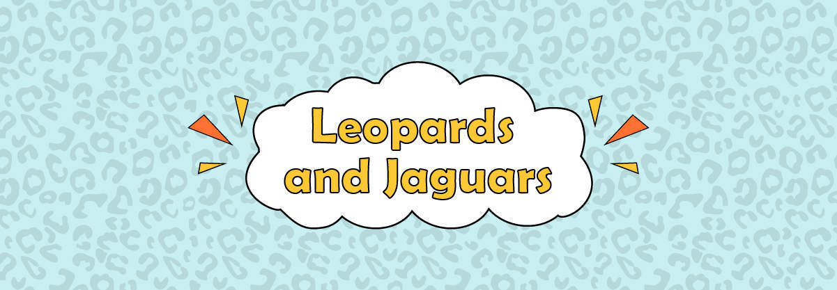 Are Leopards the Same as Jaguars? 7 Fabulous Differences Between the Two Spotted Big Cats