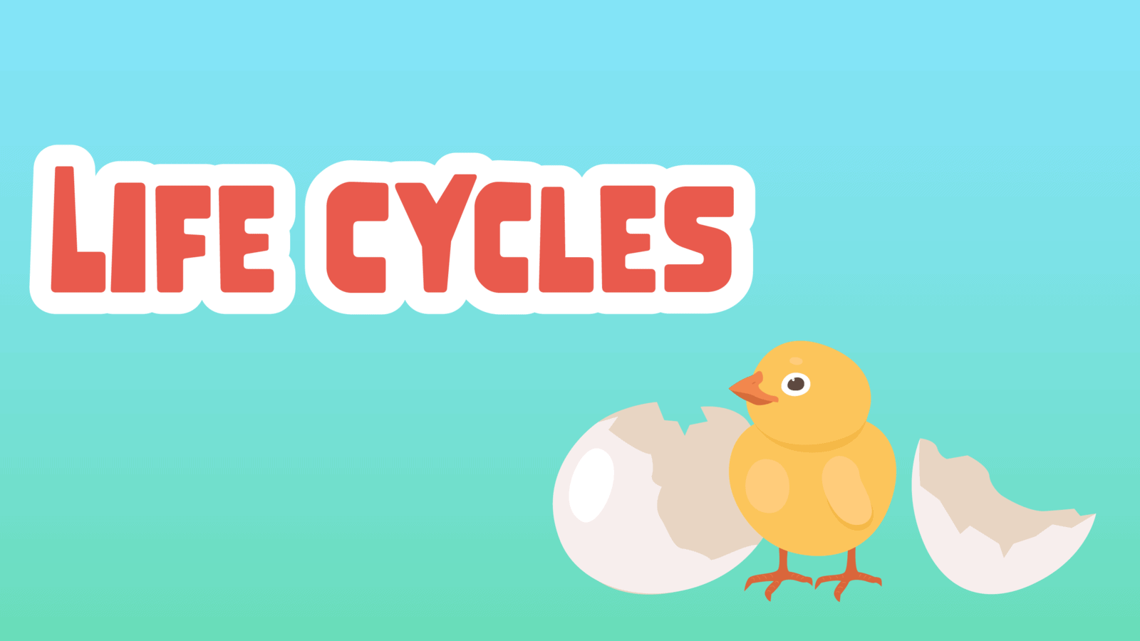 Life Cycles Facts for Kids – 5 Super Facts about Life Cycles
