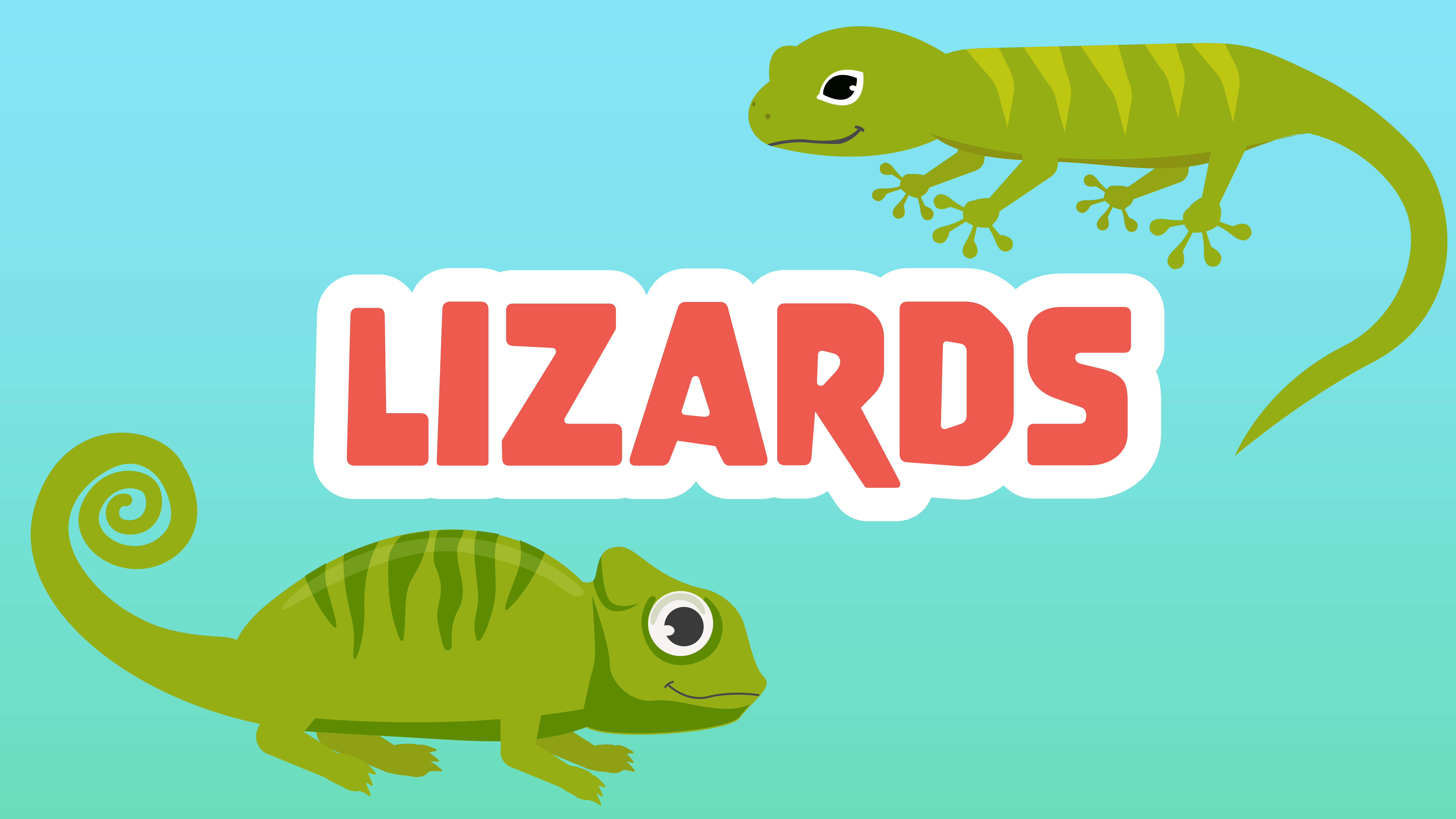Lizards Facts for Kids – 5 Incredible Facts about Lizards
