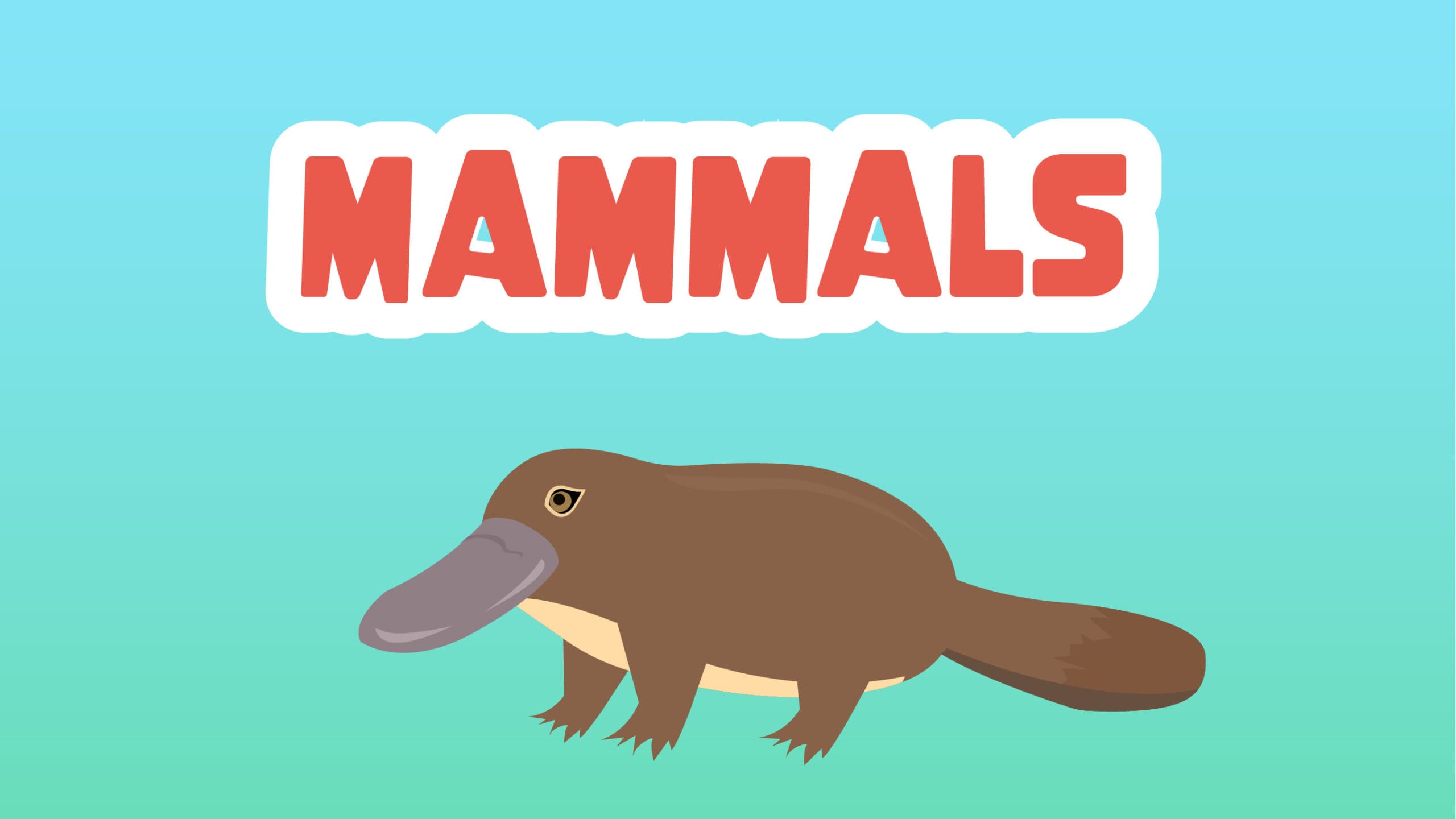 Mammals Facts for Kids – 5 Mystery Facts about Mammals