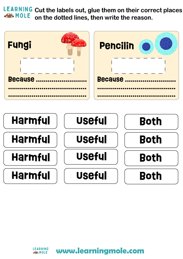 Microorganisms Activity