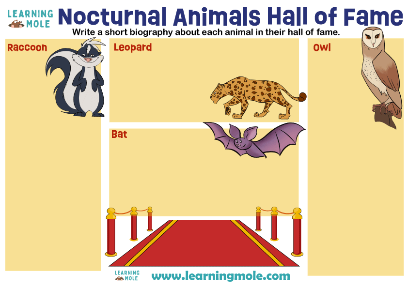 Nocturnal Animals Hall of Fame Activity