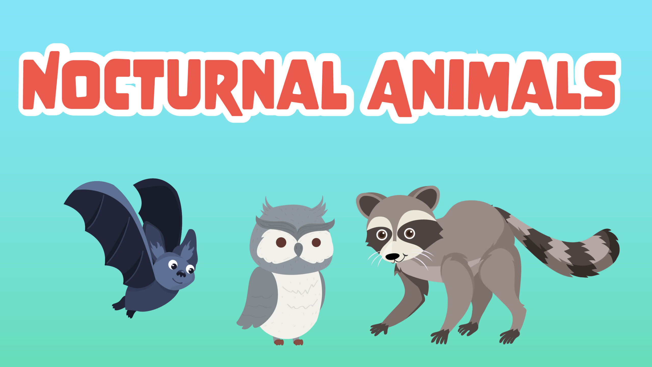 Nocturnal Animals Facts for Kids – 5 Amazing Facts about Nocturnal Animals