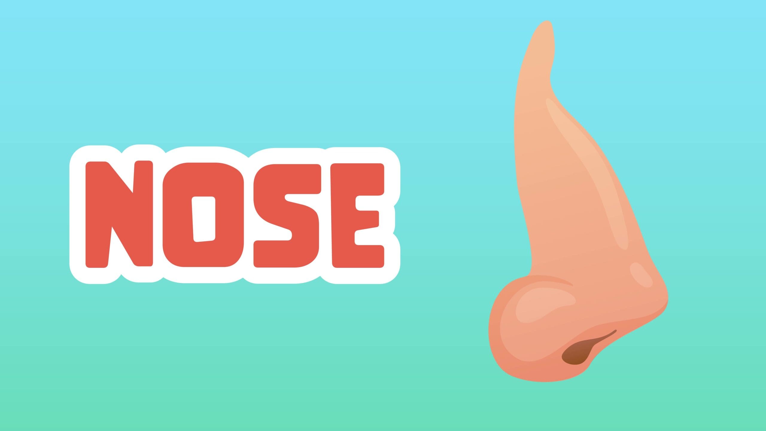 Nose Facts for Kids – 5 Natural Facts about the Nose