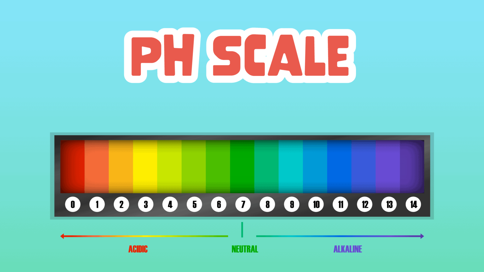 Ph Scale Facts For Kids 5 Super Facts About Ph Scale Learningmole