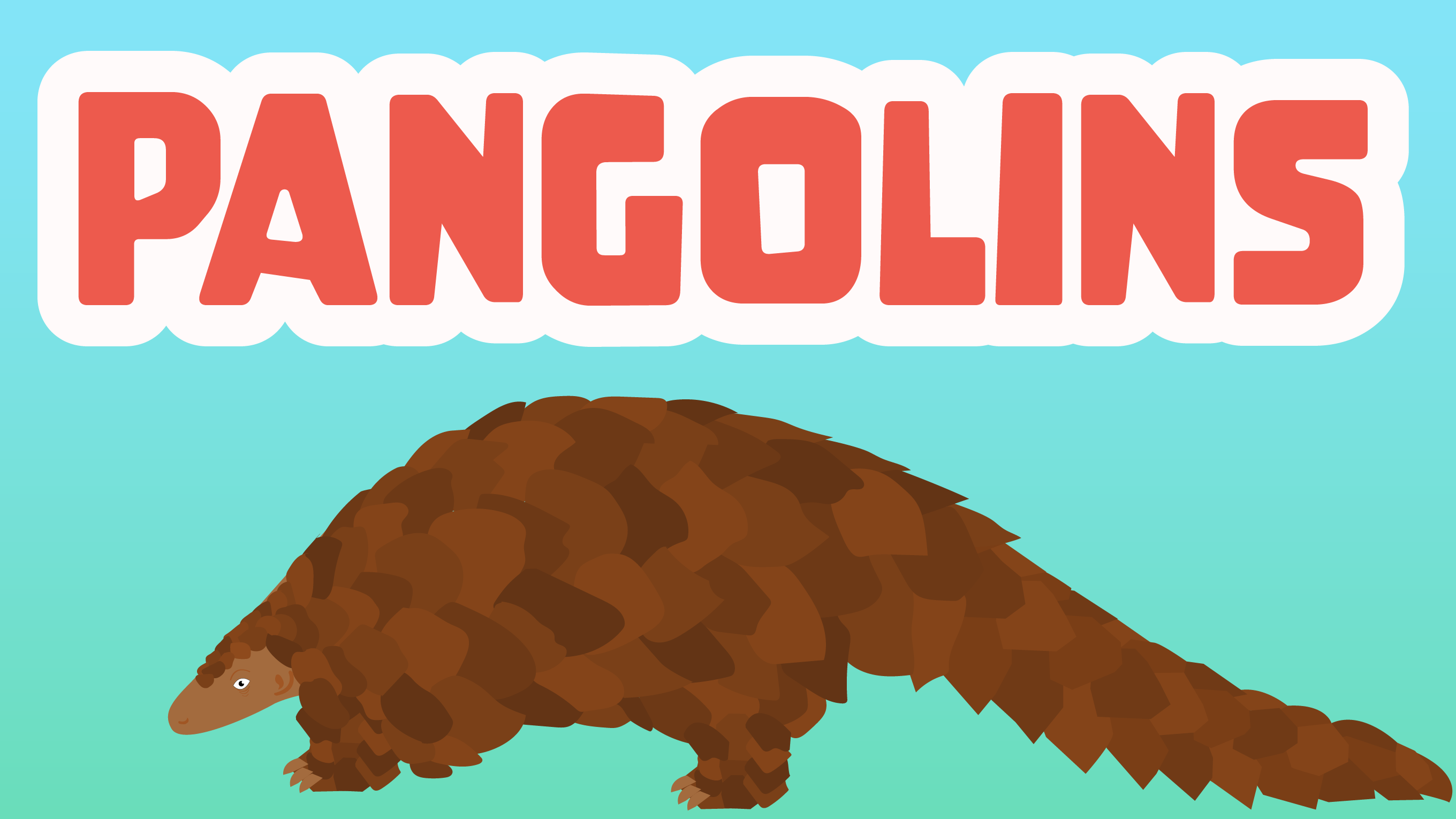 Pangolins LearningMole