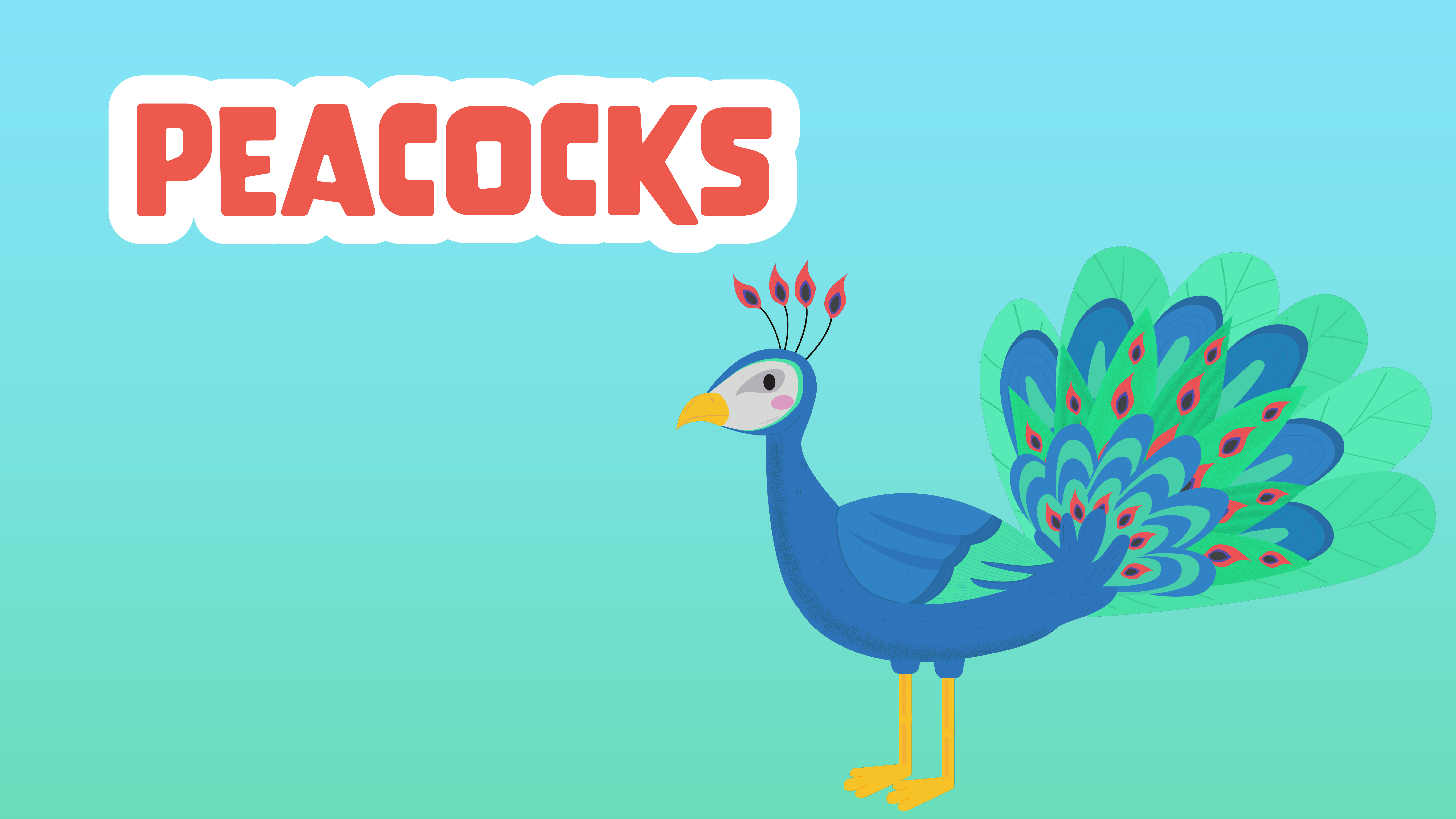 Peacocks Facts for Kids – 5 Playful Facts about Peacocks