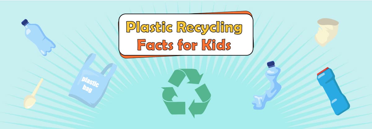 Plastic recycling: 6 steps, 5 tips and 3 creative ideas to do at home