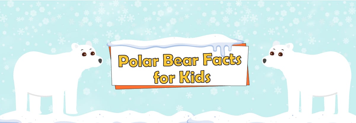 Polar Bear: Interesting Facts for Kids about the Land-Born Marine Mammal