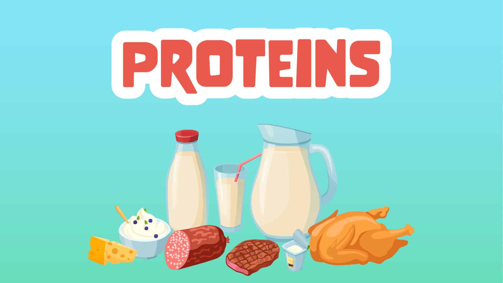 Proteins Facts for Kids – 5 Powerful Facts about Proteins