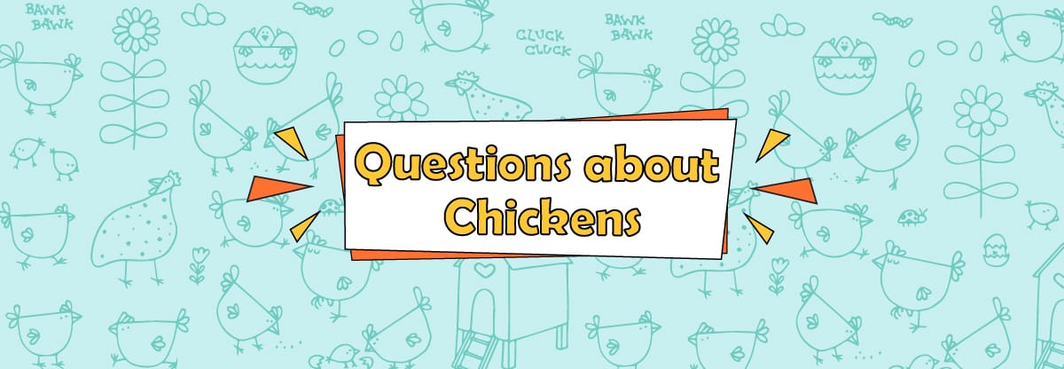 Chickens 20 Fascinating Questions