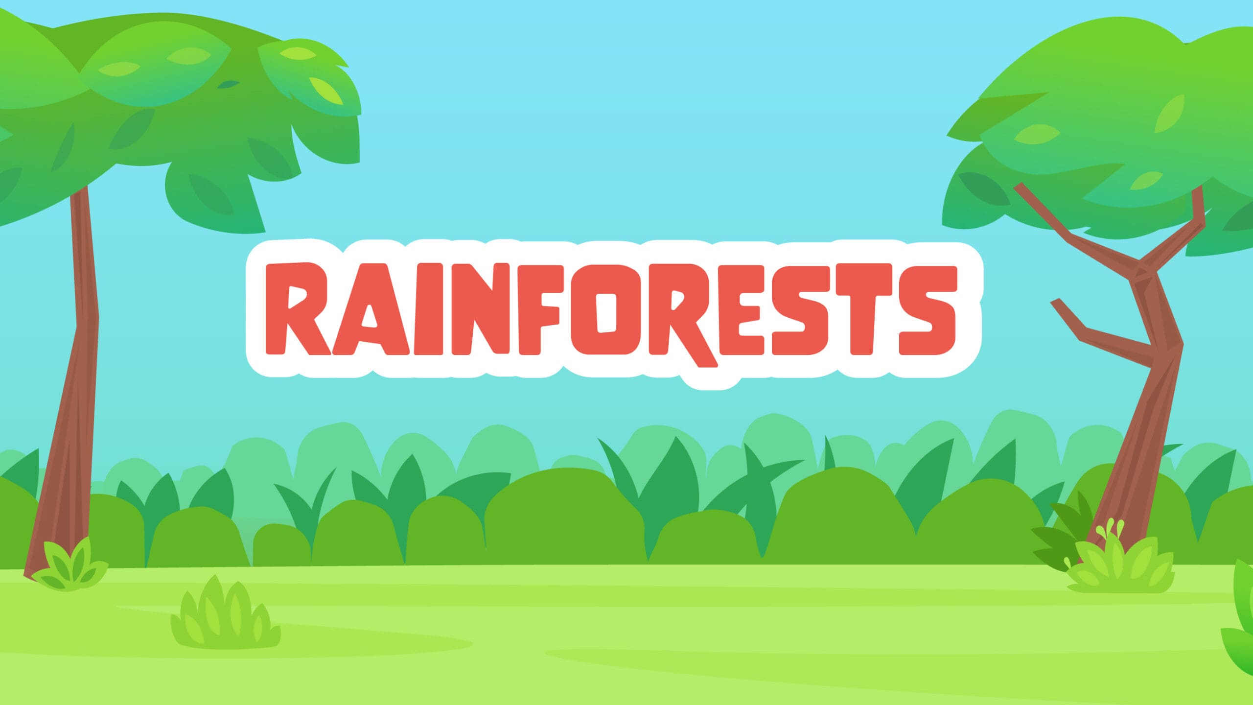 Rainforests Facts for Kids – 5 Riveting Facts about Rainforests 