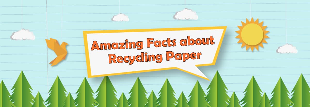 More than 10 Amazing Facts about Recycling Paper