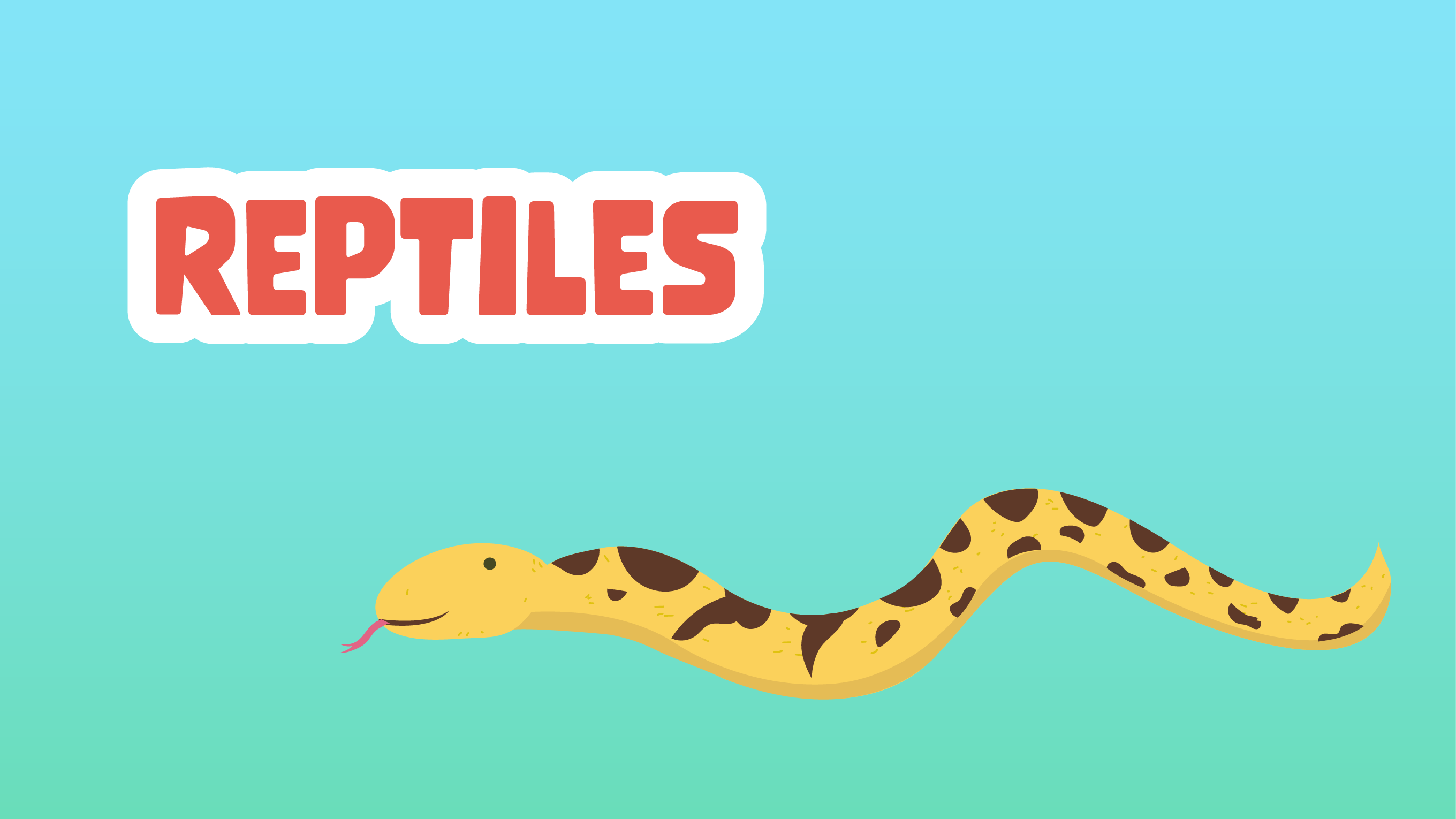 Reptiles Facts for Kids – 5 Rich Facts about Reptiles