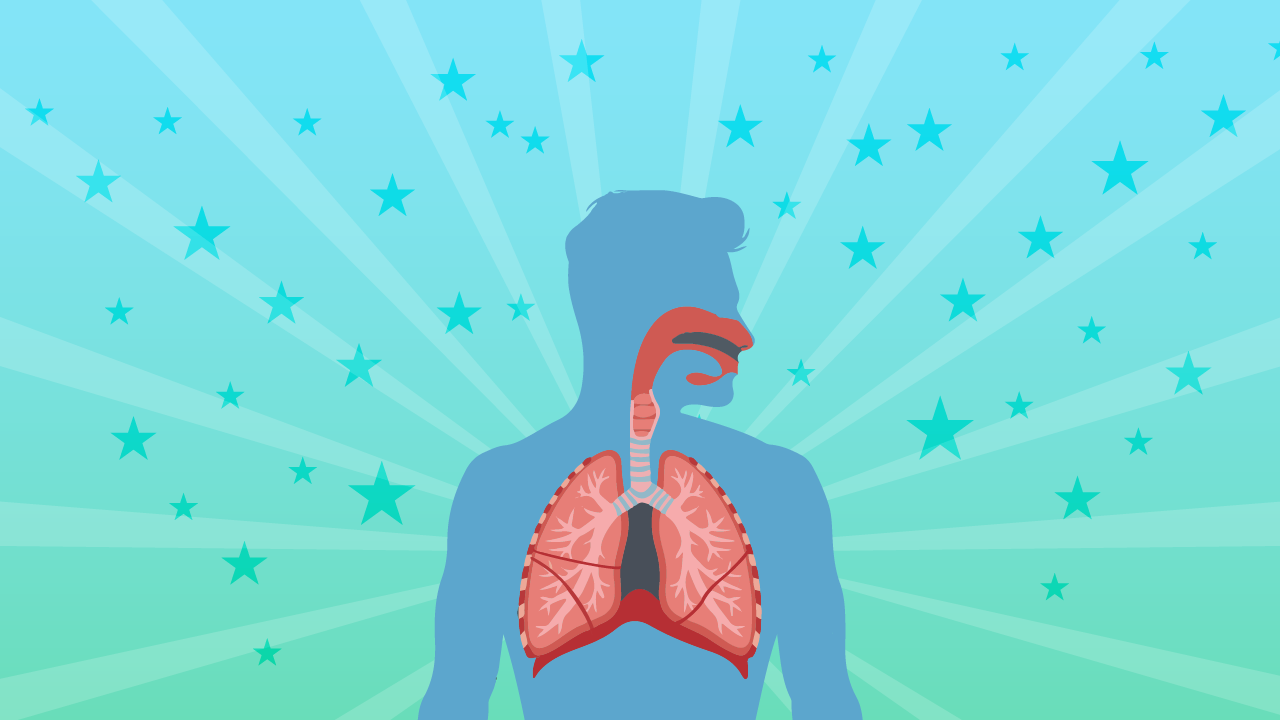 Respiratory System Facts for Kids – 5 Great Facts about The Respiratory System