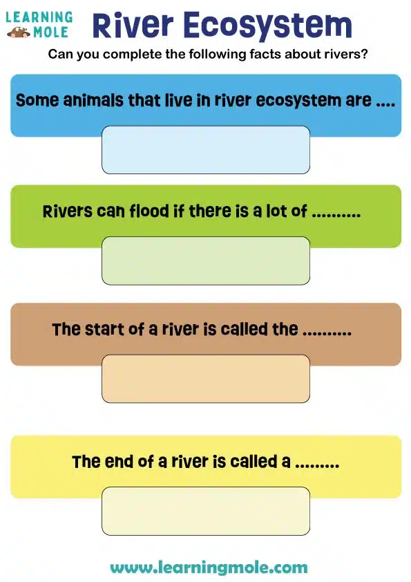 River Ecosystem Activity