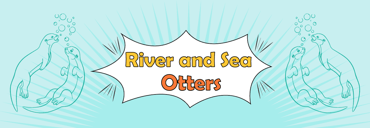 10 Surprising Differences Between River Otters and Sea Otters
