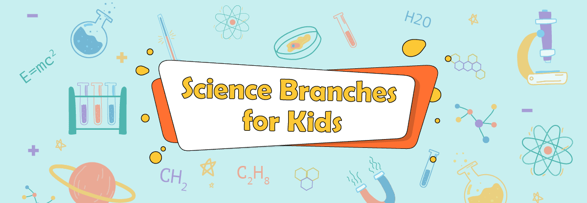 3 Most Common Science Branches for Kids