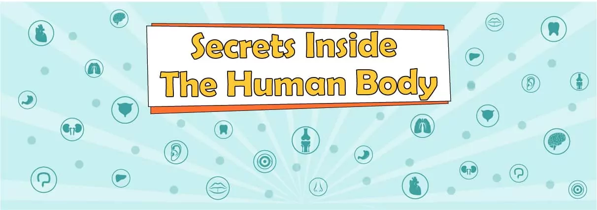 11 Secrets Inside The Human Body