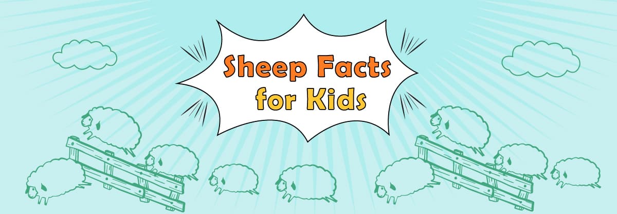 20 Interesting Sheep Facts You Didn’t Know