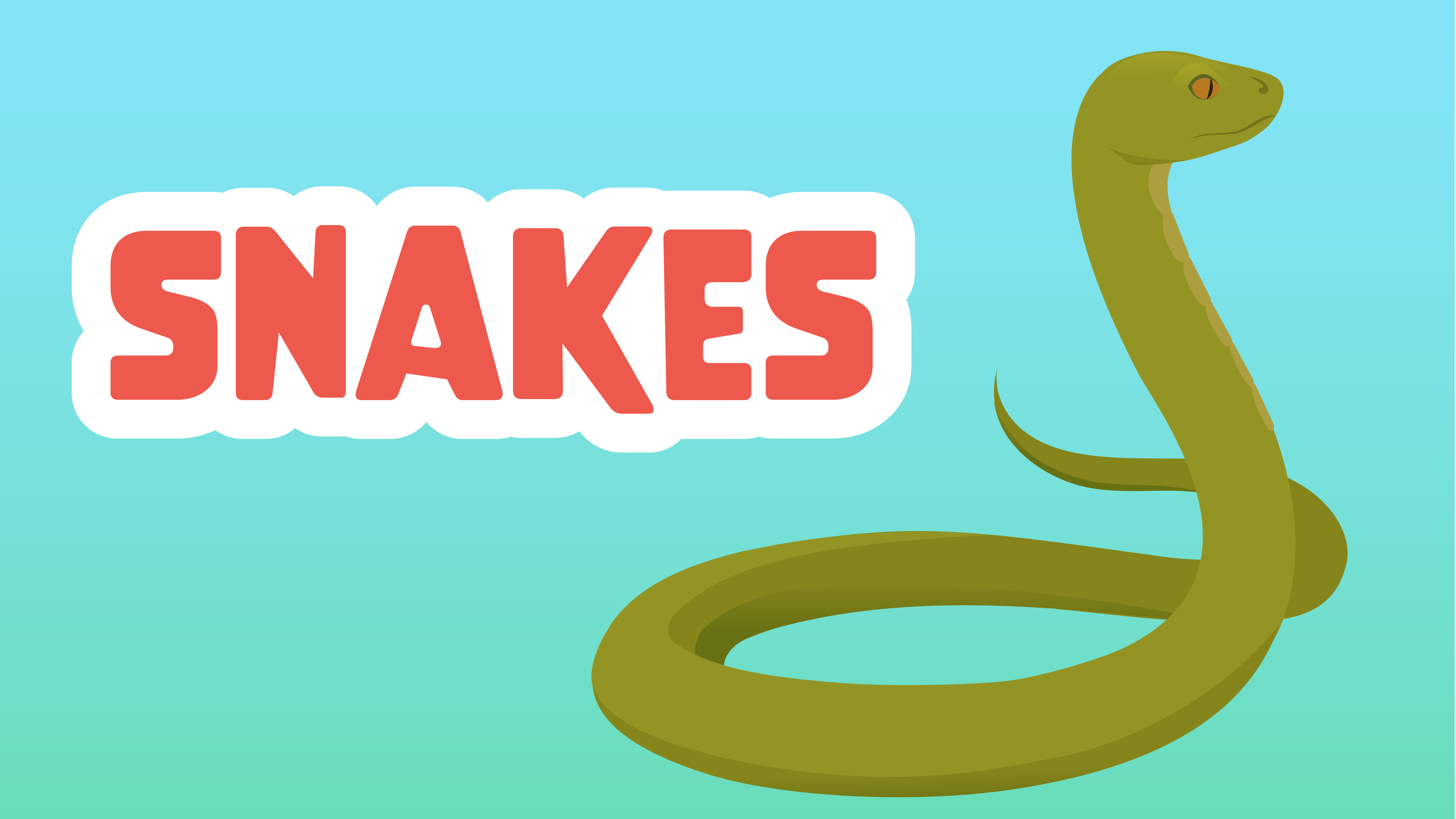 Snakes LearningMole