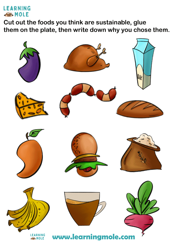 Sustainable Food Plate Activity