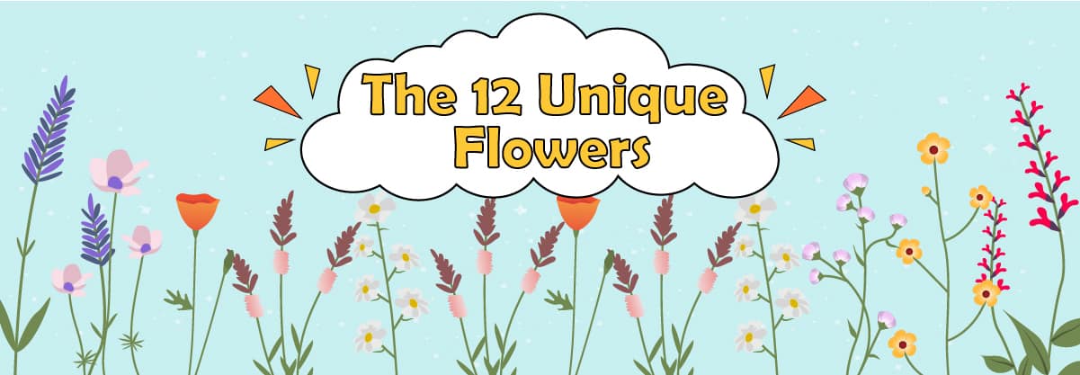 The 12 Unique & Awesome Flowers’ Shades