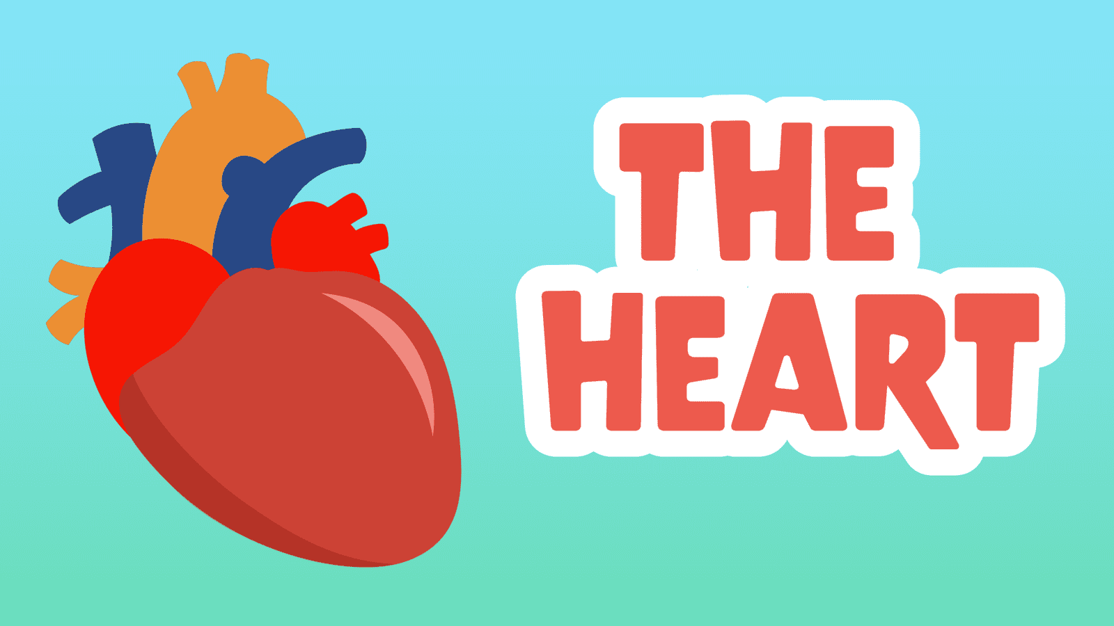10 Astonishing Heart Facts for Kids