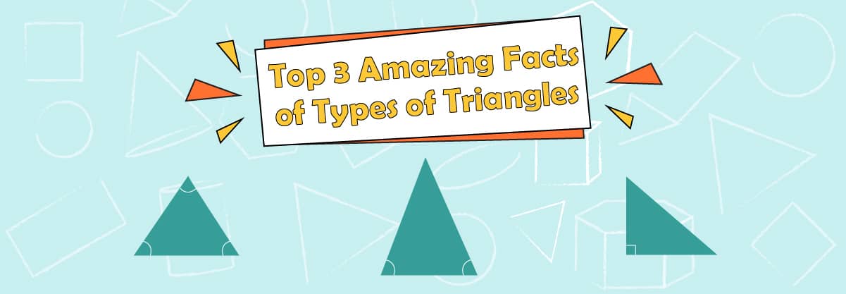 Top 3 Amazing Facts about Types of Triangles