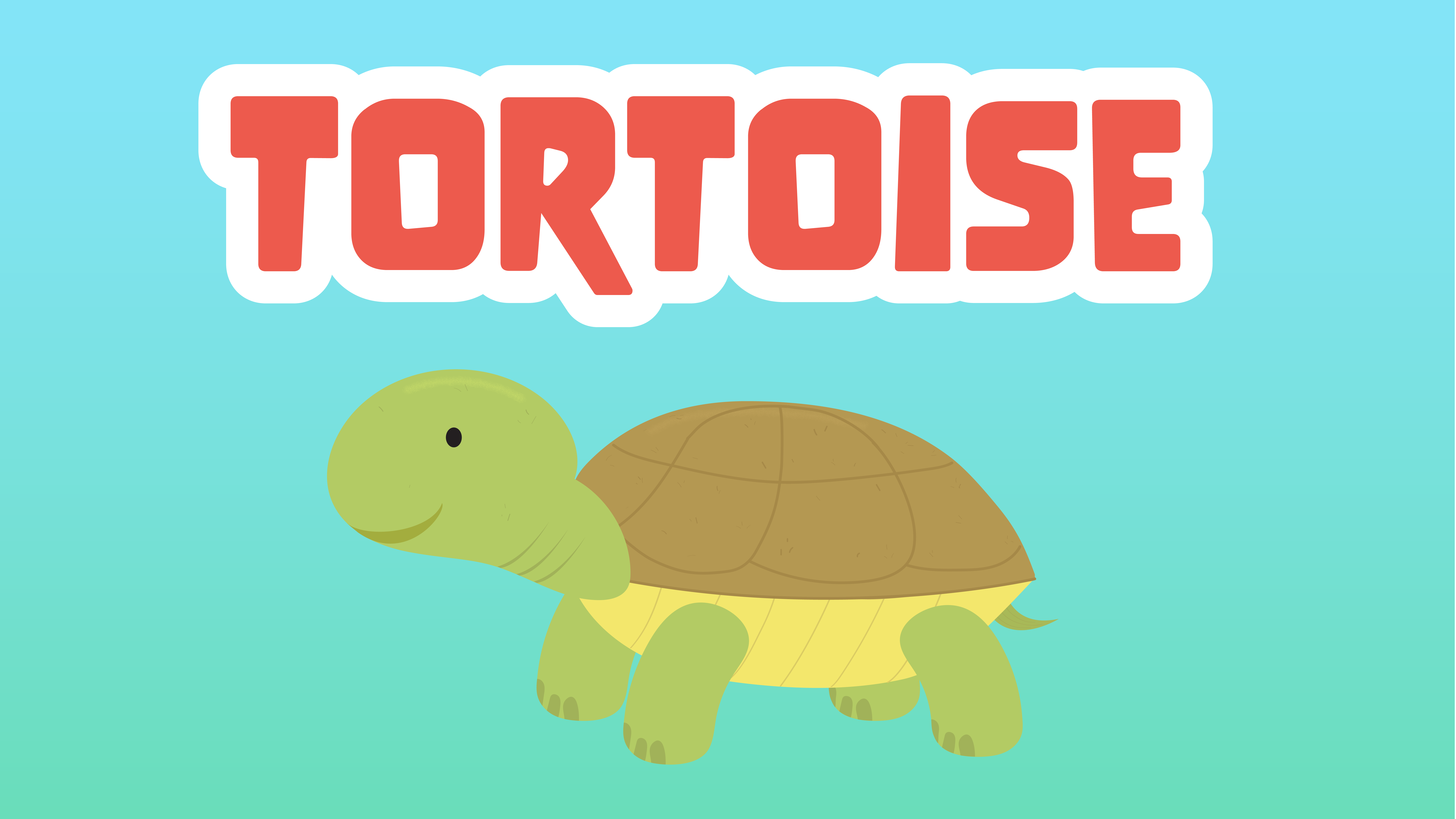 Tortoises Facts for Kids – 5 Terrific Facts about Tortoises