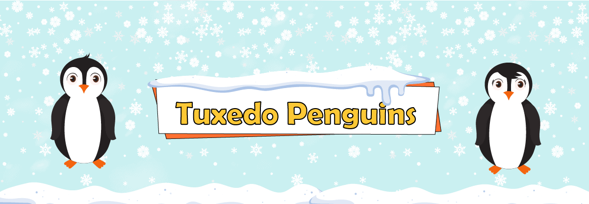 Inside the Beautiful Icy World of Tuxedo Penguins