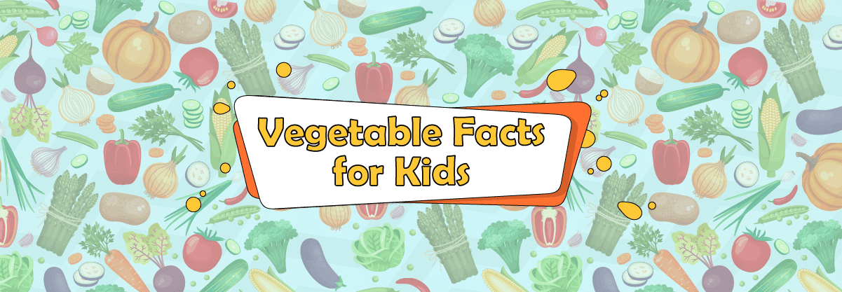 Exciting Information about Vegetables