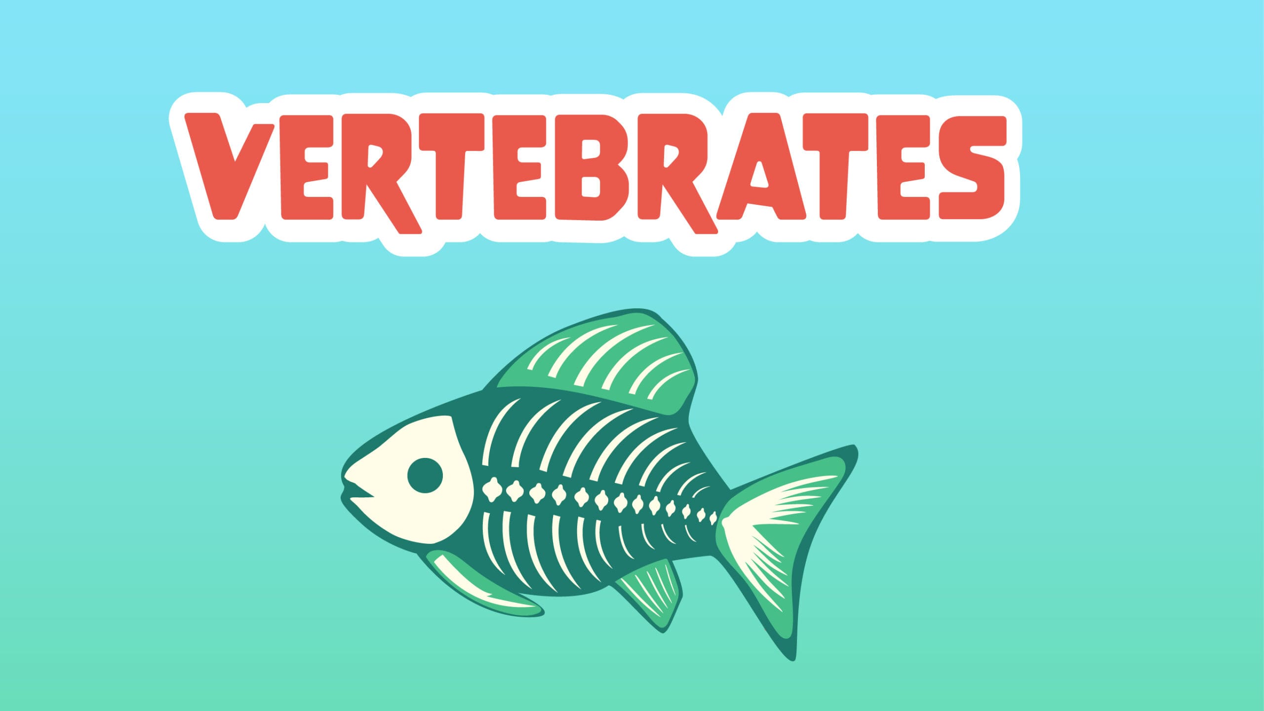 Vertebrates Facts for Kids – 5 Very Interesting Facts about Vertebrates