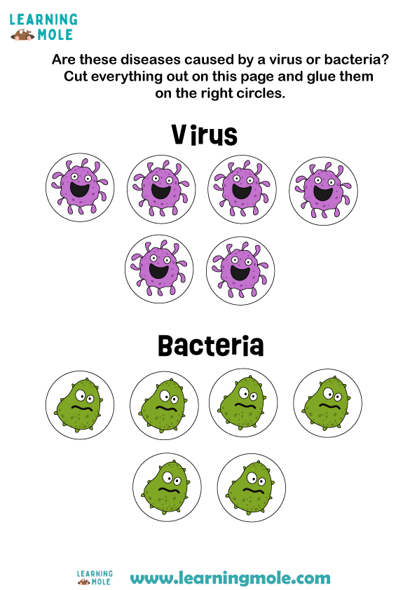 Virus-or-Bacteria