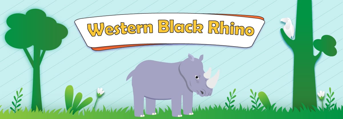 The Life and Extinction of the Western Black Rhinoceros