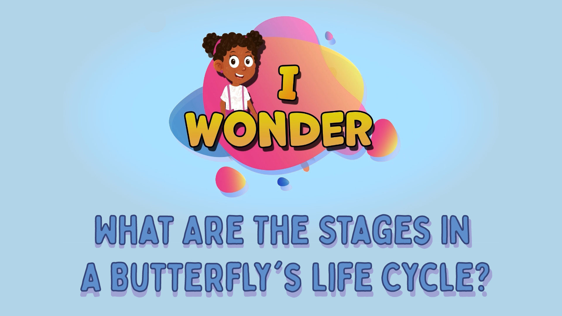 What Are The Stages In A Butterfly’s Life Cycle?