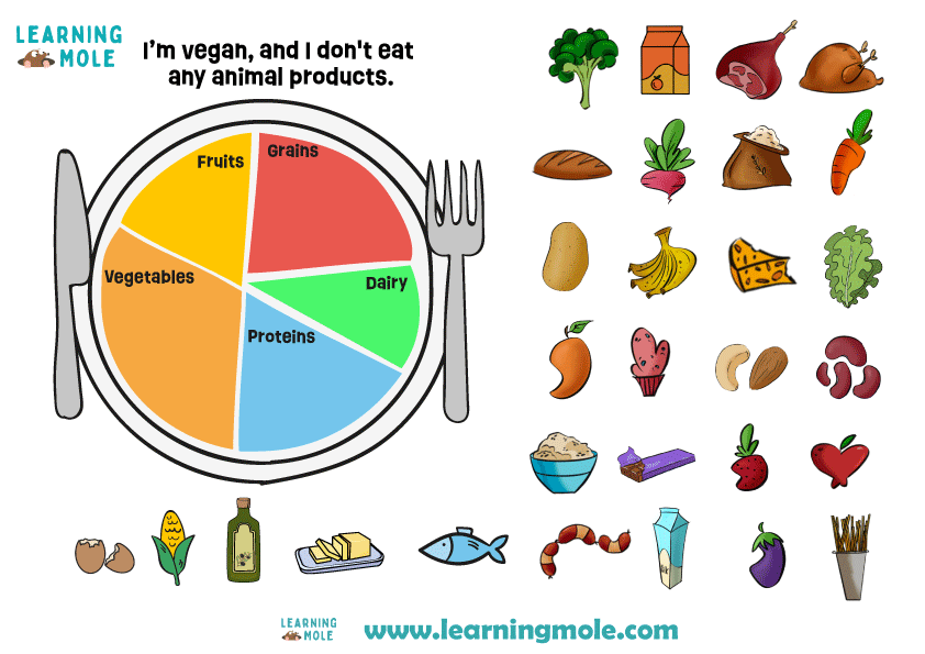 What Should Be on My Plate Activity