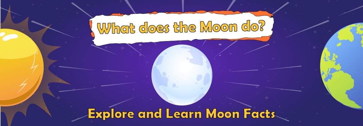 What Does the Moon Do? Discover 16 Fascinating Facts about the Moon