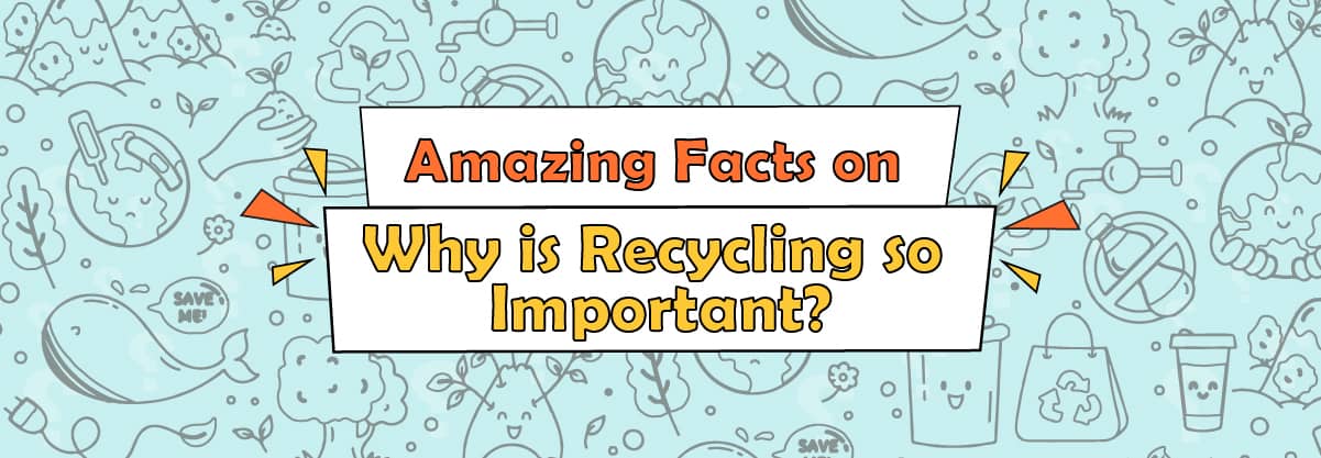 5 Amazing Facts on Why Recycling is so Important