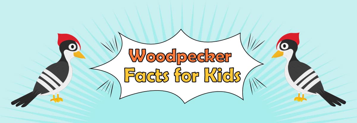 14 Amazing Facts about Woodpeckers