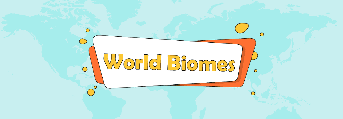 World Biomes, All You Want to Know About Its 2 Types