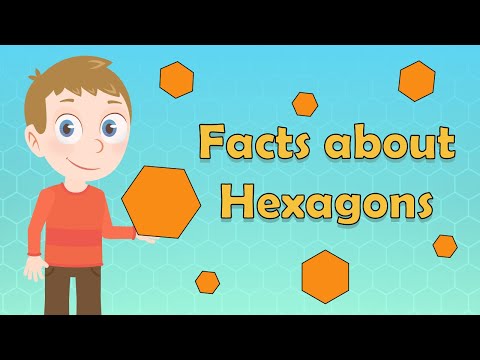Hexagon Facts for Kids |Facts about Hexagons | Hexagon Shapes for Kids | Shapes for Kids | Shape KS2
