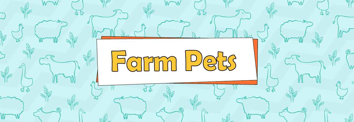 Farm Pets: 11 Popular Farm Pets!