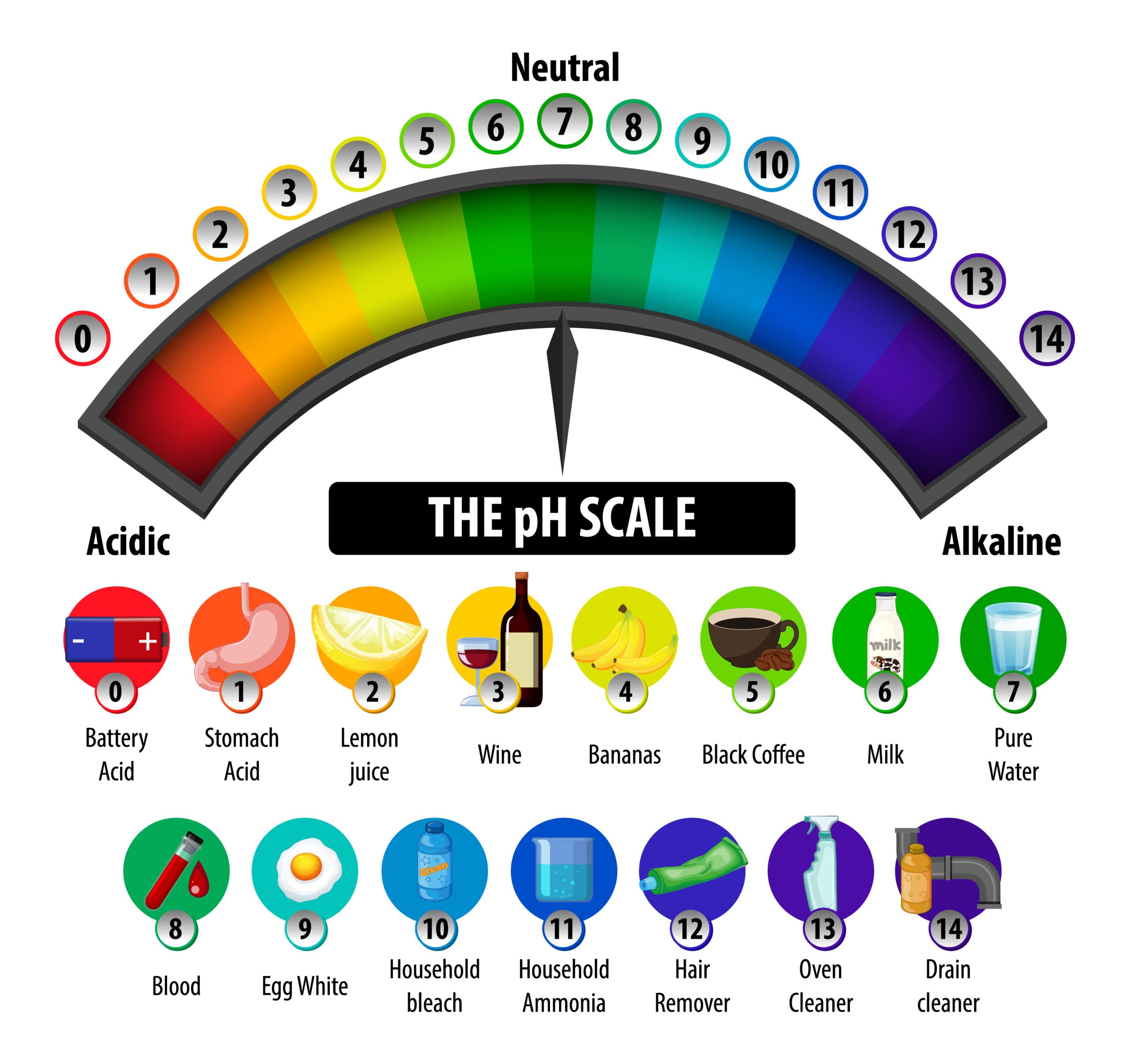 PH Scale Facts for Kids LearningMole