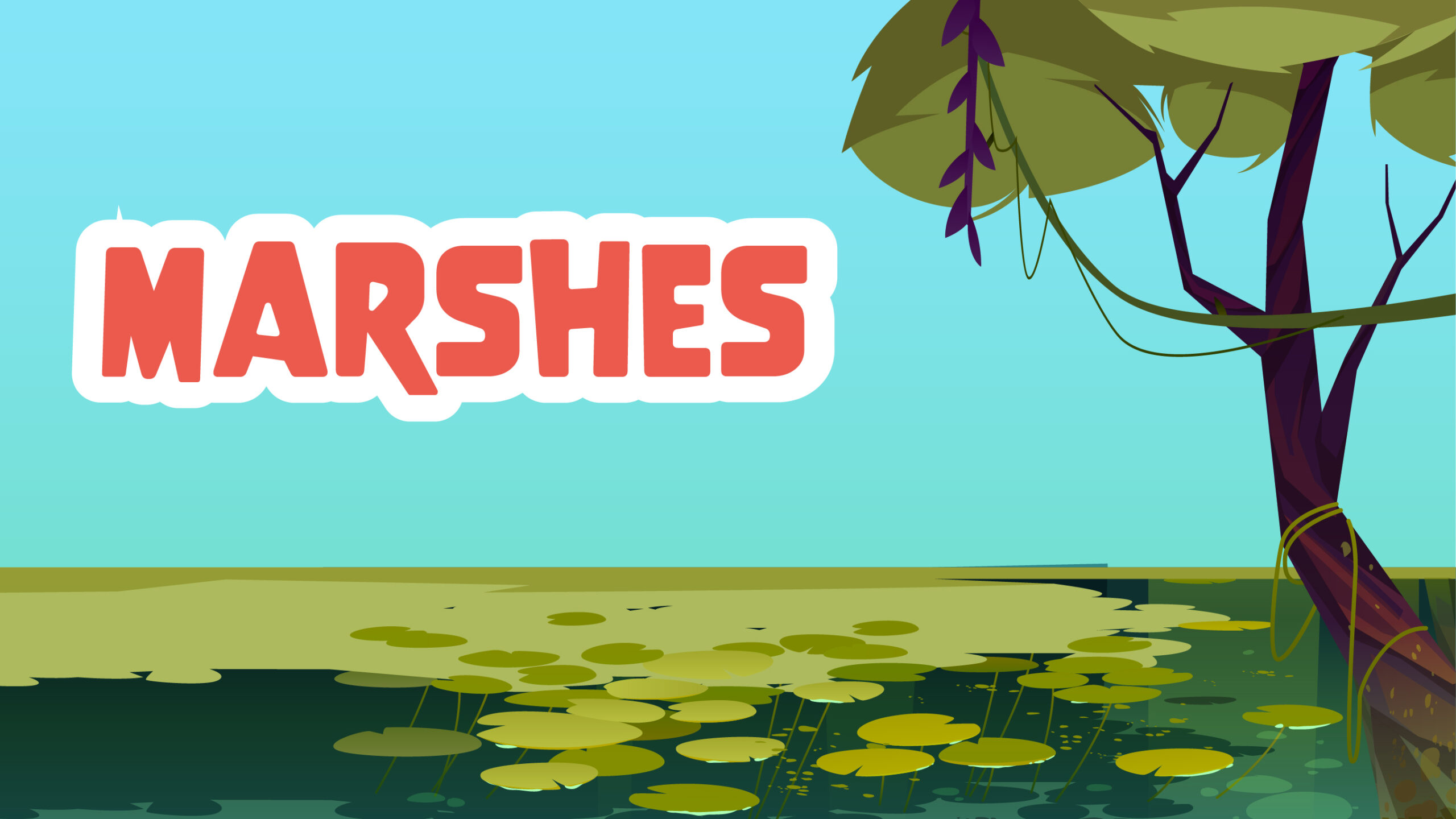 Marshes Facts for Kids – 5 Magical Facts about Marshes