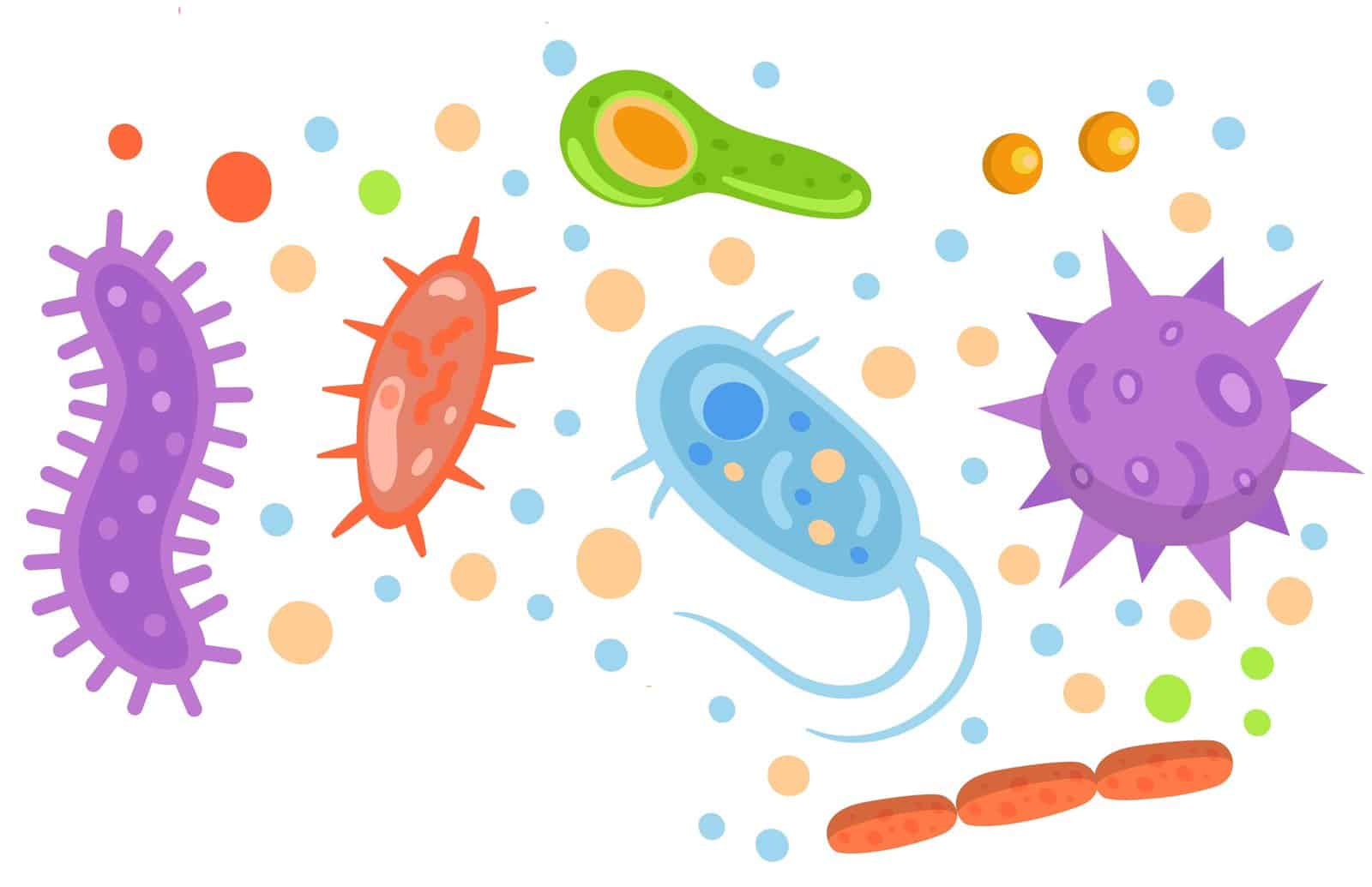 Earth's Miraculous Atmosphere: The Story from the Very Beginning atmosphere LearningMole Earth's Miraculous Atmosphere