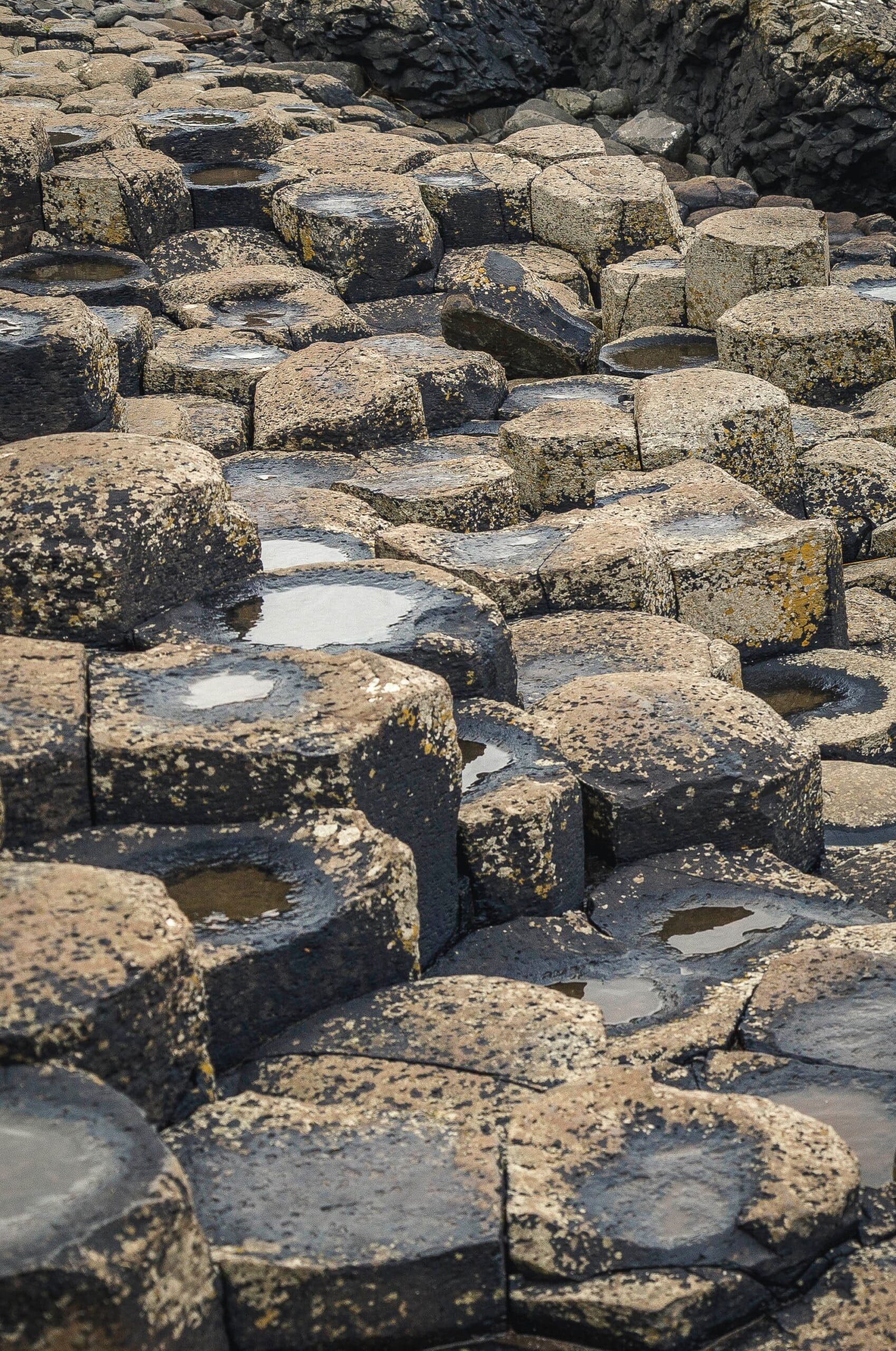 Giant's Causeway Facts for Kids