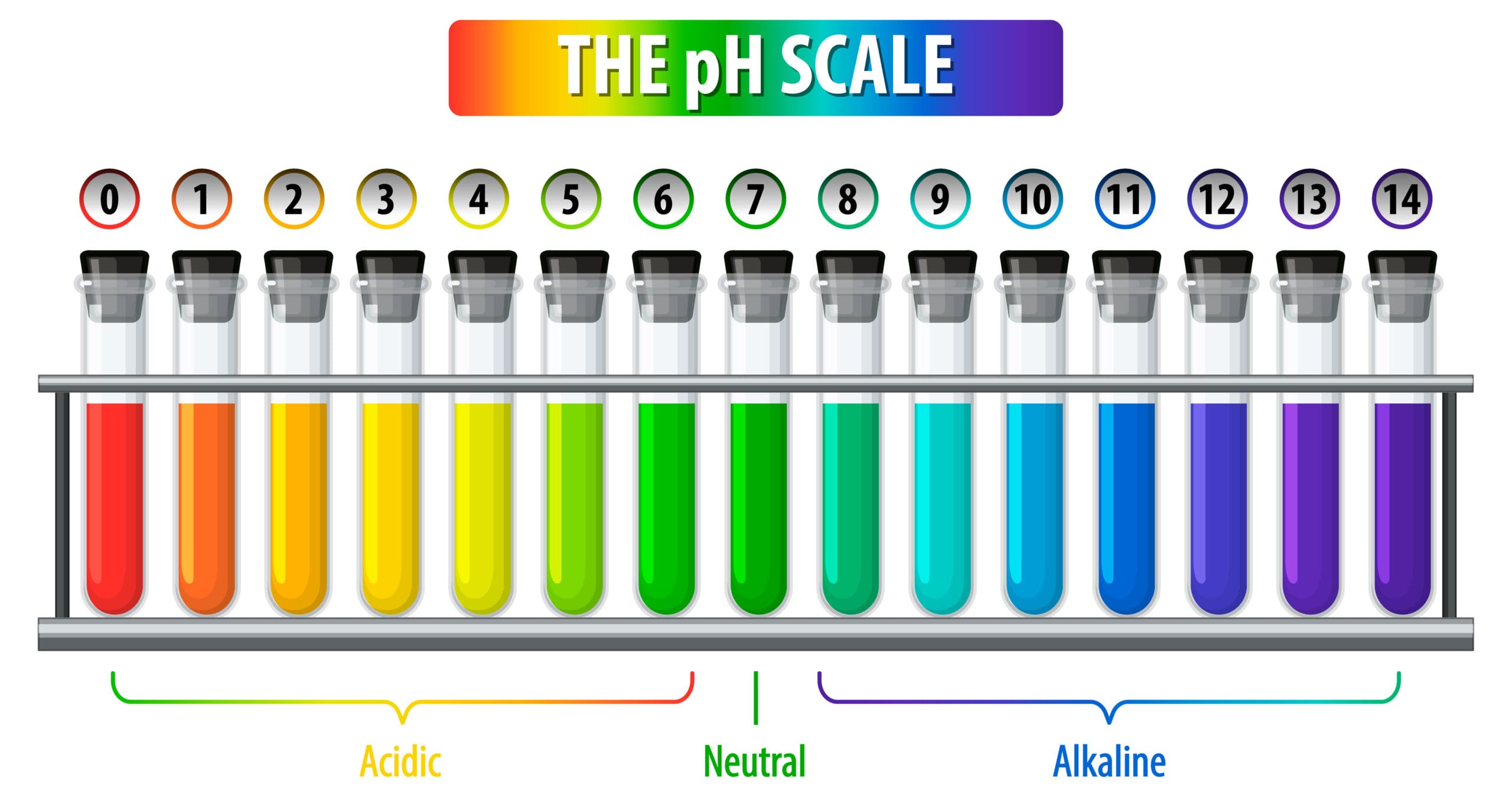 PH Scale Facts for Kids