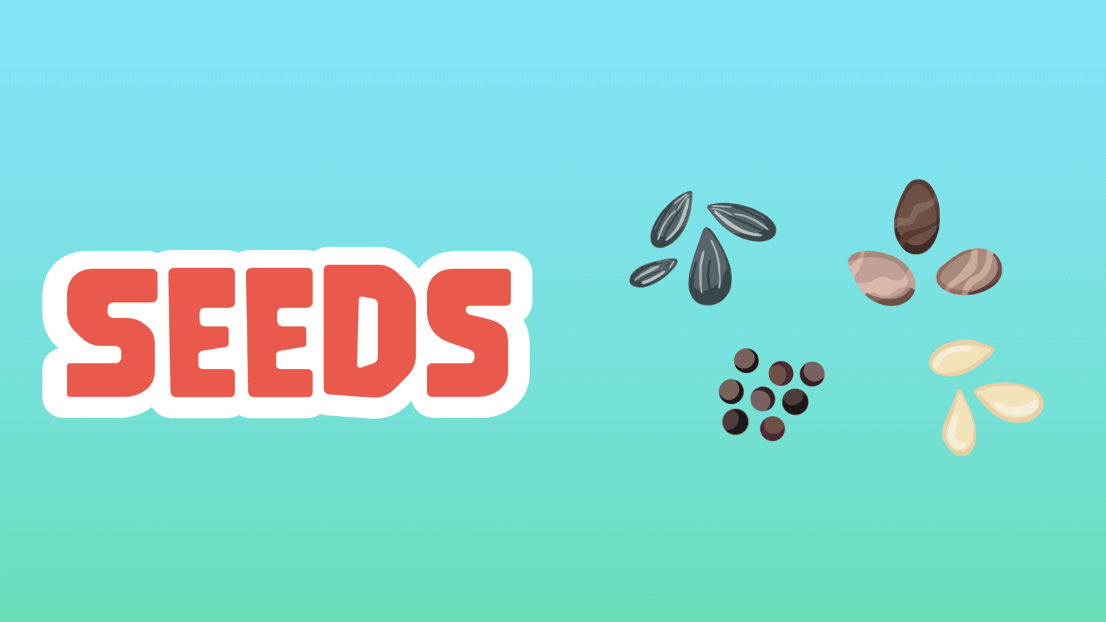 Seeds Facts for Kids – 5 Stunning Facts about Seeds