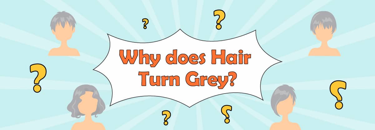 Why Does Hair Turn Grey?
